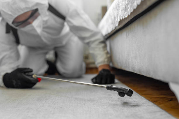 Professional Termite Control technician working in Everett, WA
