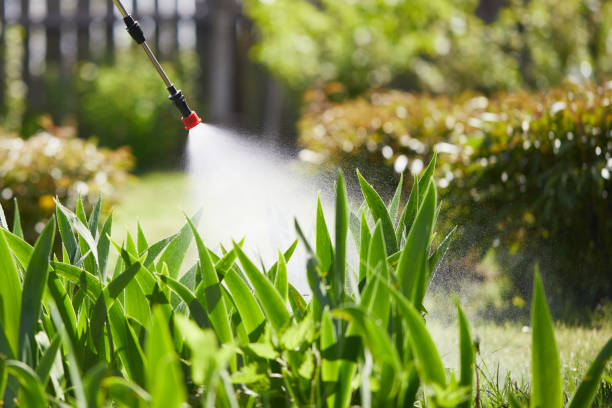 24/7 Emergency Termite Control experts in Everett, WA
