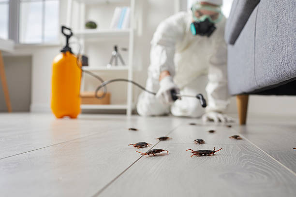 Trusted Fumigation Services service in Everett, WA - Nex Pest Control